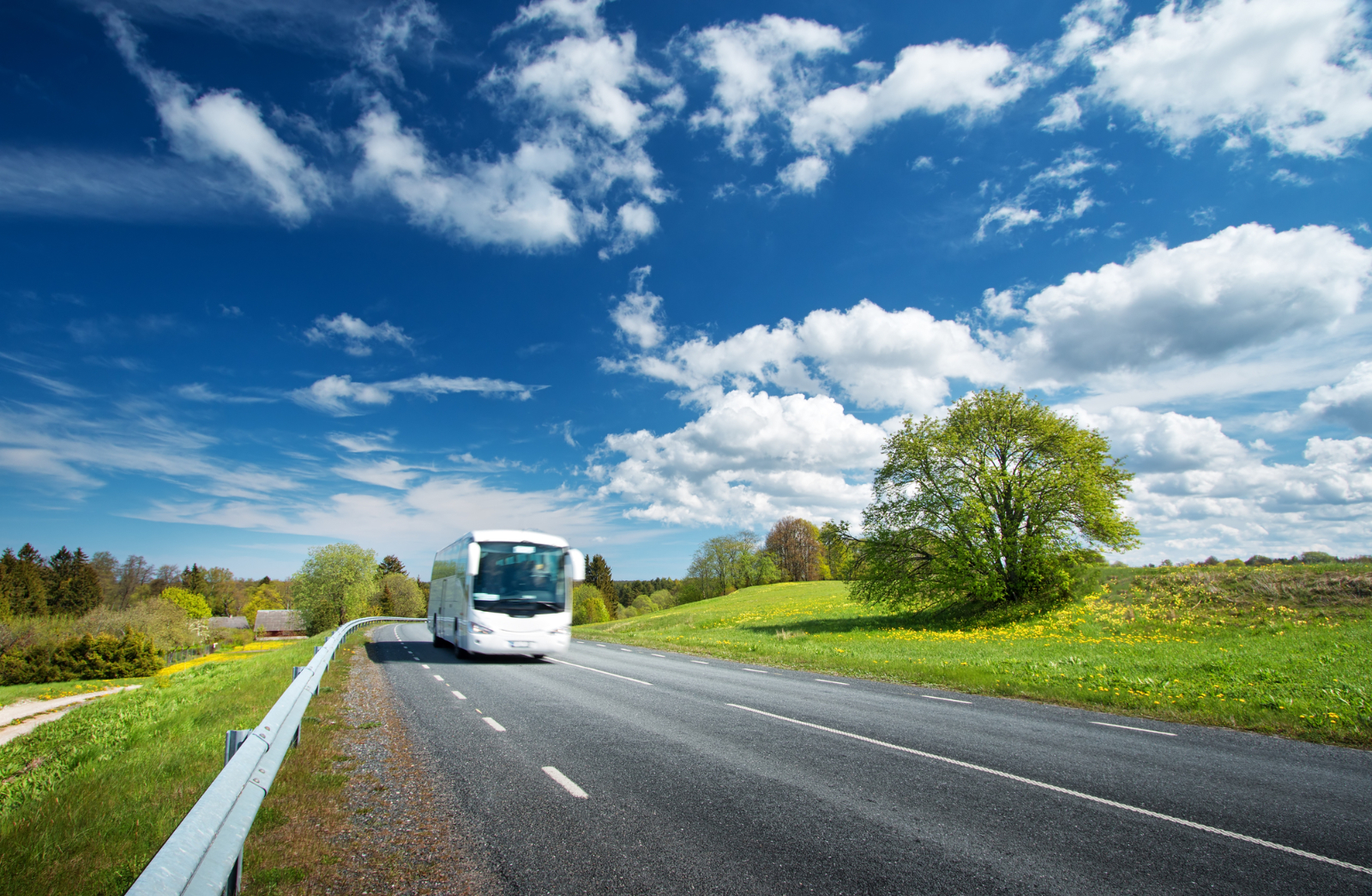 Top 7 Reasons to Book a Field Trip Bus for an OffCampus School Event